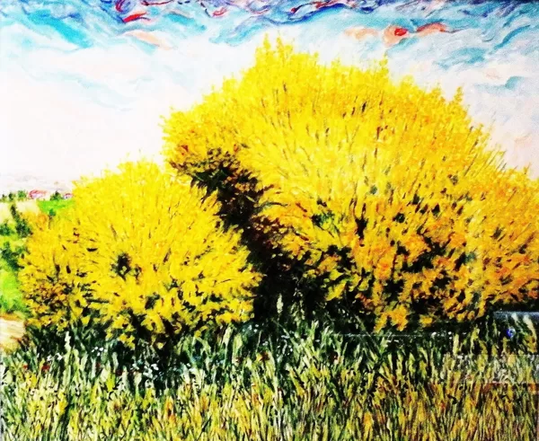 GINESTRE D'ABRUZZO - Olio su tela 90 x 70