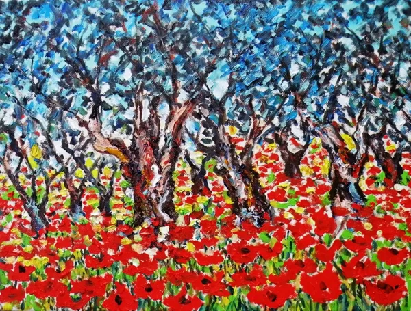 ULIVETO TRA I PAPAVERI - Olio su tela 40 x 30